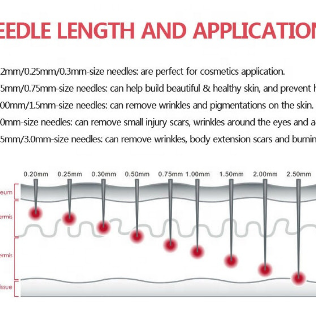 Derma Roller