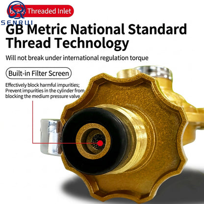 Safety Leak-Proof Gas Regulator Pressure